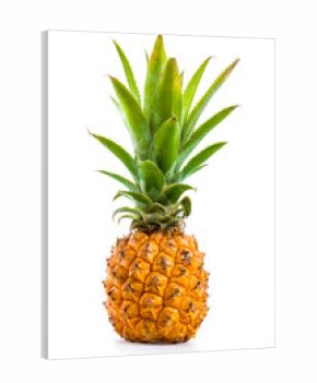 Ananas Baby