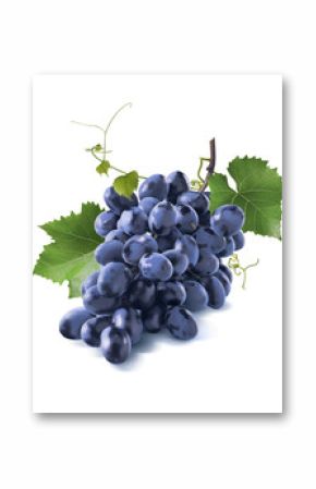 Tiny dry blue grapes bunch leaves isolated on white