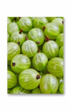 Fresh gooseberry background