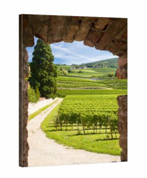 Vigna, Filari e Uva, Abbazia di Novacella