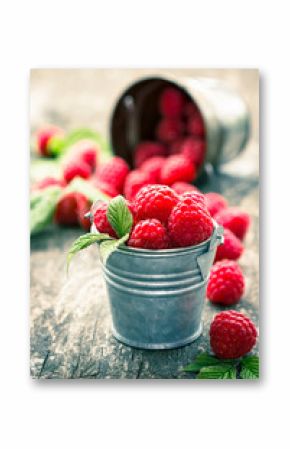 Raspberries in the small bucket