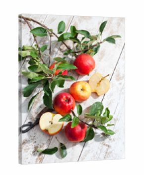 Rote Äpfel,Ecolette, Zweig, Blatt, Blätter, heller Holzuntergr