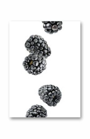 Isolated berries. Five falling blackberry fruits isolated on white background with clipping path