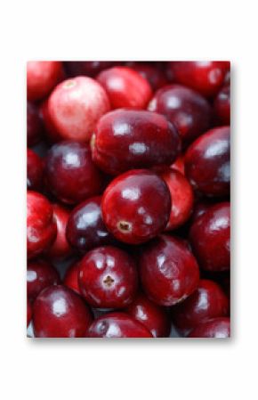red cranberry fruit