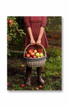 A young woman holding basket with apples