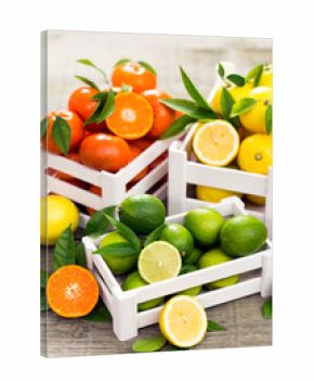 Fresh citrus fruits - lime, lemon and tangerine in the crate