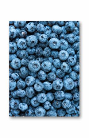 Fresh blueberry background. Blueberries texture close up