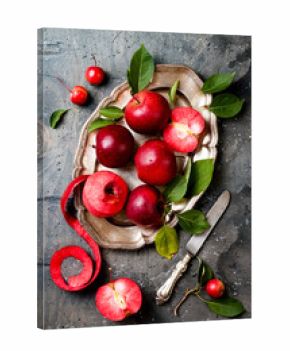Still life with apples on vintage plate over gray table, top view. Fresh red apples Baya Marisa with leaves.