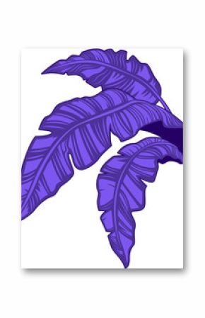 Cluster of purple stylized banana leaves is forming flat design on transparent background