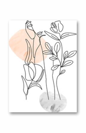 Minimal botanical illustration is showing stems on peach gray paint strokes, transparent background