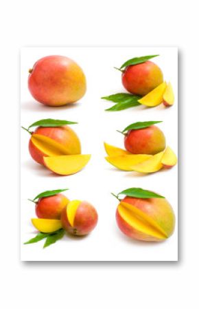 mango collection