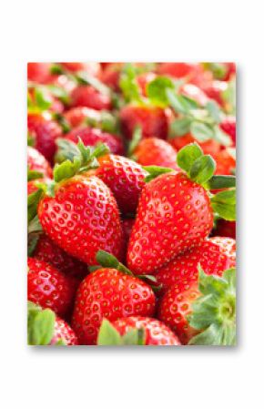 fresh strawberry