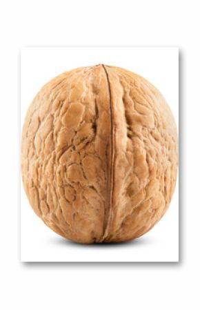 Single walnut