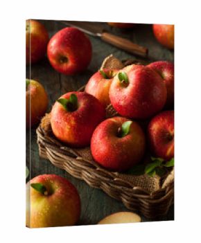 Raw Red Fuji Apples