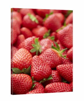 古都華(ことか)