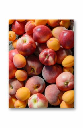 peaches and apricots