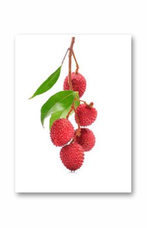 lychee isolated on white background