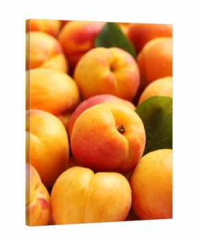 Ripe apricots fruit background