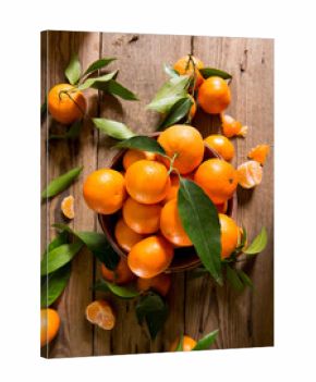 Fresh picked mandarins