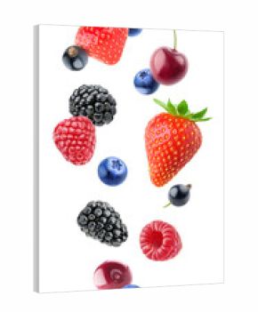 Isolated berries. Falling blueberry, blackberry, raspberry, strawberry, black currants and cherry fruits isolated on white background with clipping path