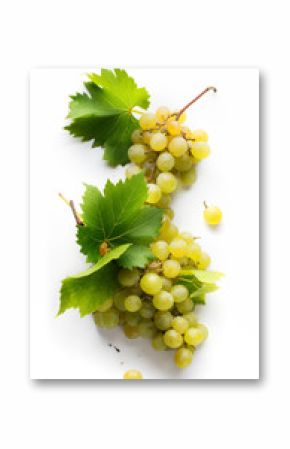 wine list background  sweet white grapes and leaf