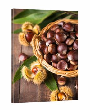 Fresh chestnuts in the basket