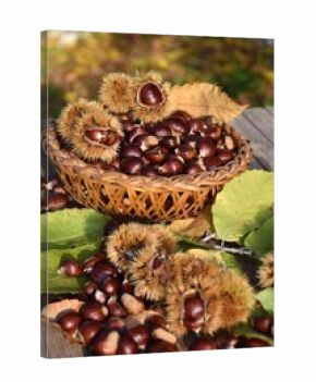 Cestino con castagne