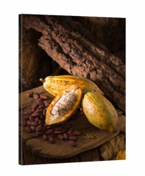 Cacao fruit, raw cacao beans, Cocoa pod on wooden background