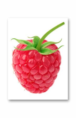 Ripe raspberry with green leaf isolated on white background with clipping path. One of the best isolated raspberries you have seen.