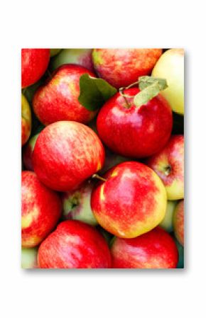 Colorful red apples background