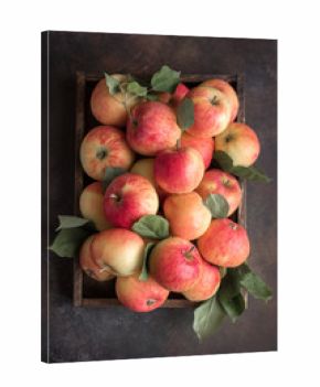 Red apples in wooden box