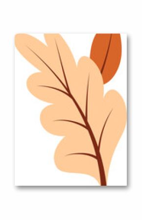 Peach oaklike leaf and orange elongated leaf are overlapping in flat design, transparent background