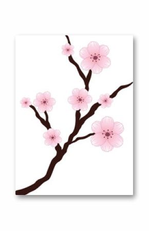 Flat illustration is showing brown branch bearing pink cherry blossoms on transparent background