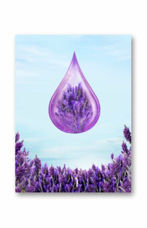 lavender field background for beauty product