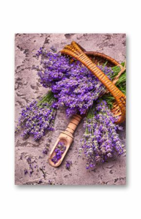 Lavender flowers in basket on gray concrete background. Top view.