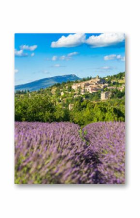 Blooming lavender fields and village of Aurel in background in Vaucluse, Provence-Alpes-Cote d'Azur, France