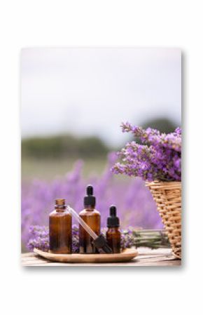 Amber essential lavender oil bottle. Violet lavendar field in Provence.