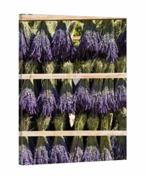 Lavender drying on rack