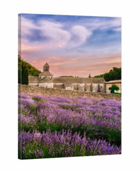 View of the landscape of the Cistercian Abbey of Senanque with lavender fields in bloom