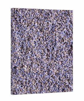 Dried lavender flowers.