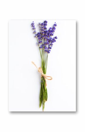 Lavender flowers isolated on white background
