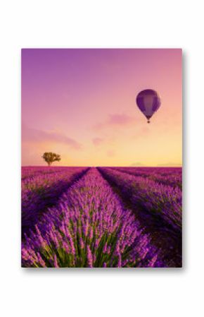 Lavender field rows at sunrise and hot air baloon France Provence