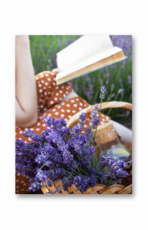 Provence - girl reading a book in a lavender field
