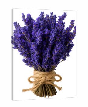 bunch of lavender flower tied with twine, isolated PNG format, transparent background. 