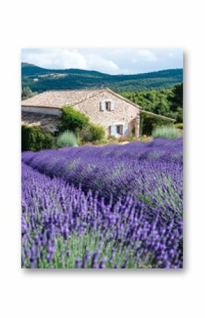A stone farmhouse in the French countryside, with lavender fields and a rustic charm