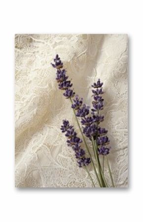 A bundle of lavender flowers on a soft cream lace background 
