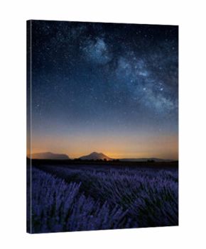 Nightsky over lavender fields