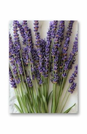 Freshly harvested lavender flowers neatly arranged on a white marble surface, showcasing their vibrant purple hues and lush green stems
