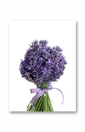 mazzo di fiori recisi di lavanda