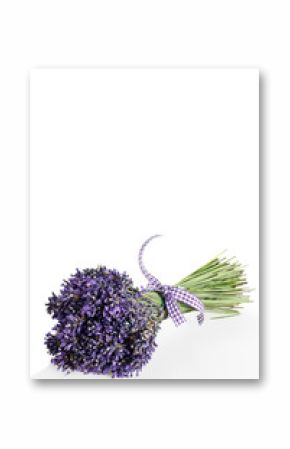 mazzo di fiori recisi di lavanda